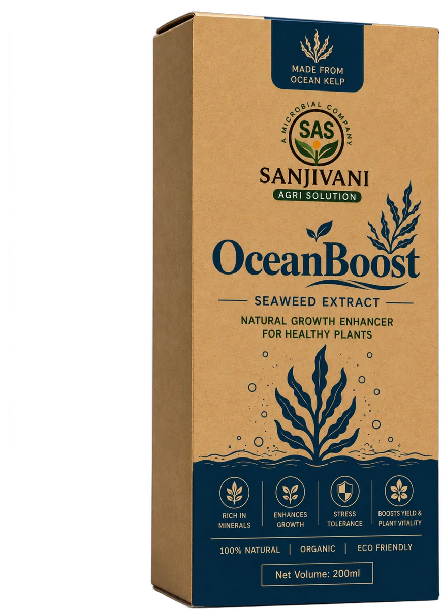 OceanBoost Seaweed Extract